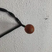 Vintage 1960 coat rack heart 5 ball hooks wood - 60 cm