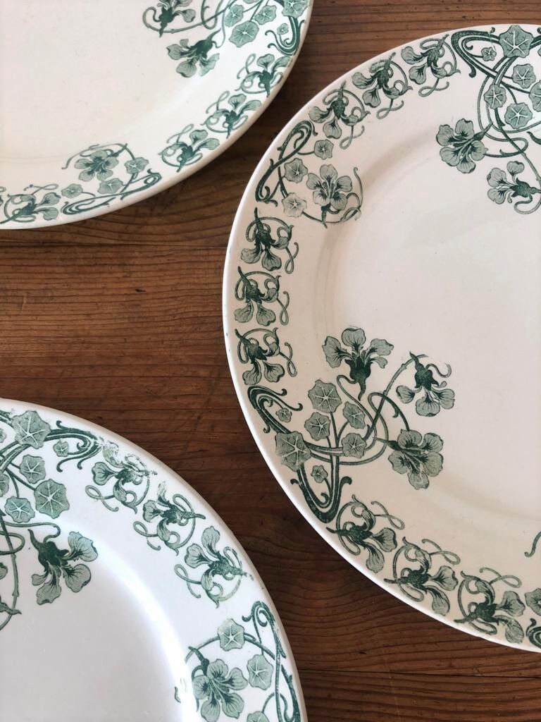 Lot of 4 plates old iron earth pattern "Capucines" BFK
