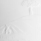 The little prince (the tree)