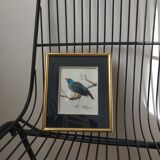 Framing a blue bird in feathers and painting