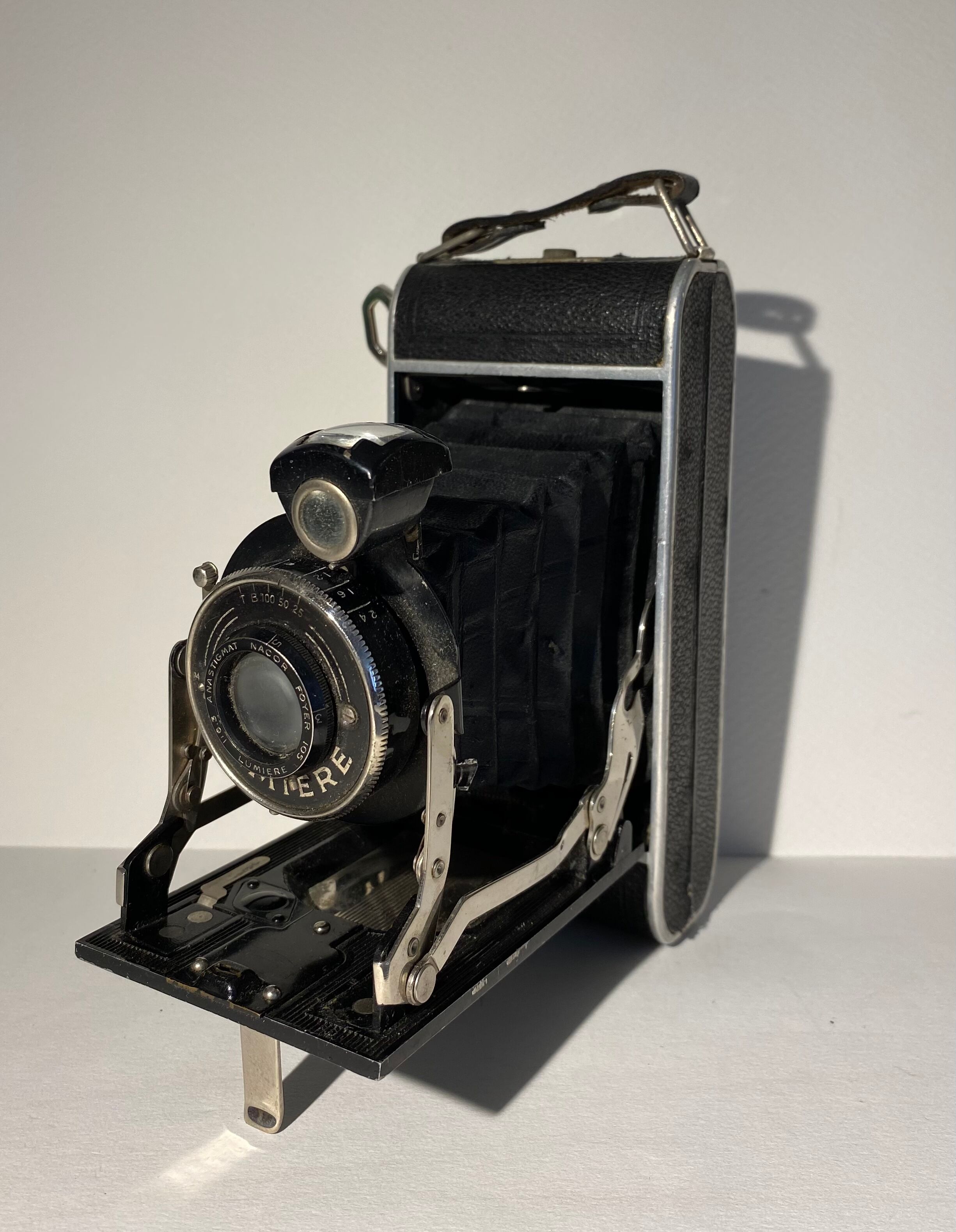 Light XX century brand bellows camera