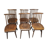 Suite 6 chairs Fanett by Ilmari Tapiovaara