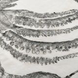 Original print of an octopus
