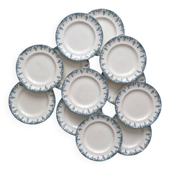 12 assiettes plates en terre de fer « Florence » Longwy
