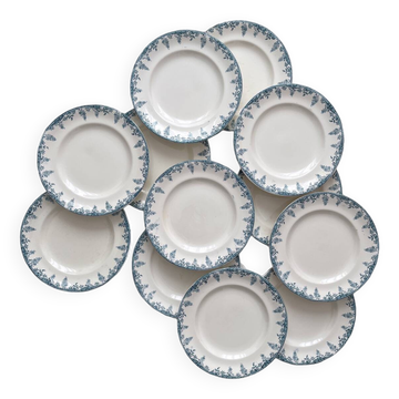 12 ironstone dinner plates “Florence” Longwy