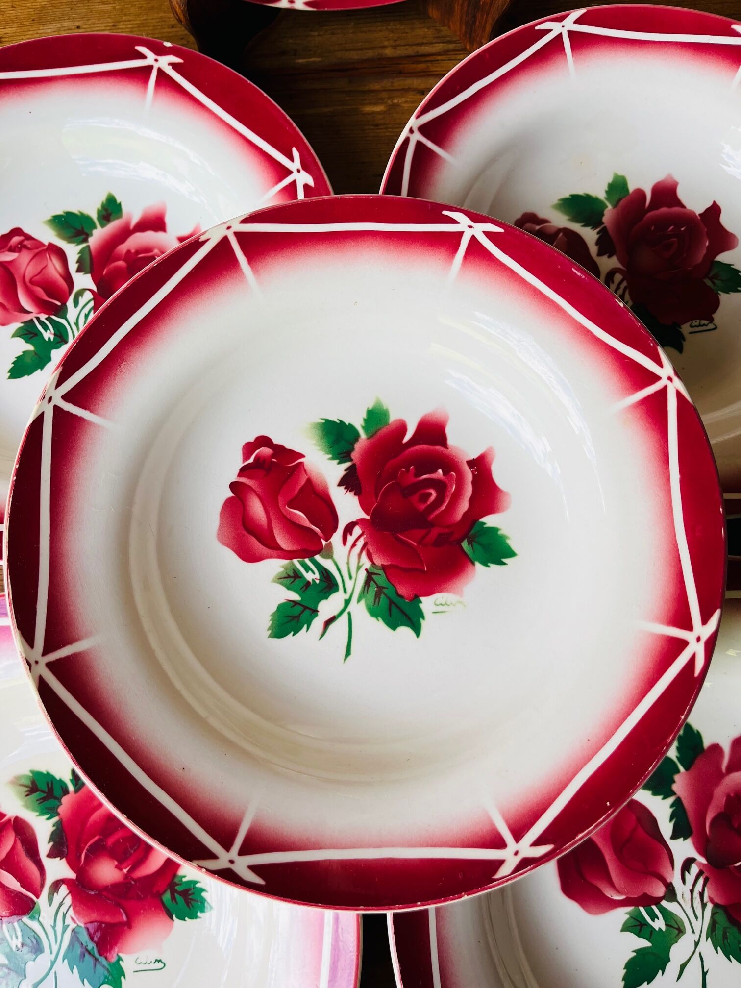 Set of 6 hollow plates Digoin Sarreguemines model Cibon years 30-40