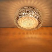 XXL ceiling light