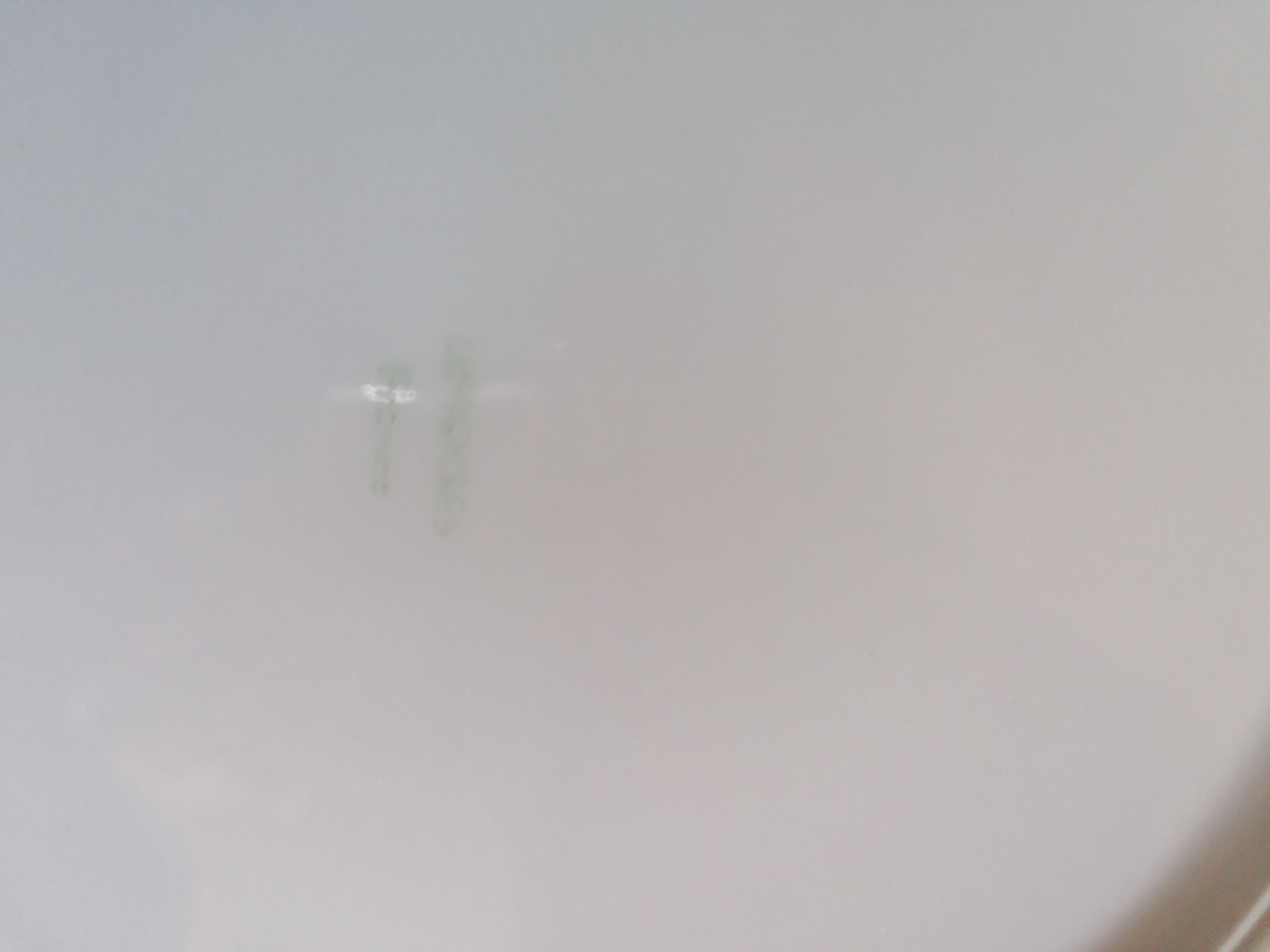 6 flowery flat plates, porcelain old romantic limoges