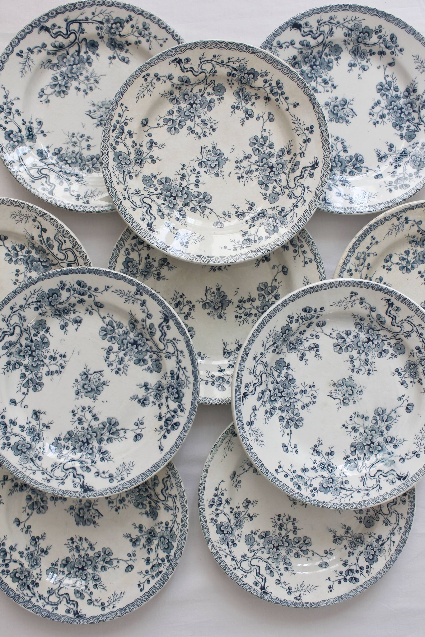 10 flat plates in iron earth "Fleurette" Gien gold medals