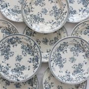 10 flat plates in iron earth "Fleurette" Gien gold medals