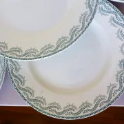 5 flat plates in ironstone from St Amand model Réjane 210726
