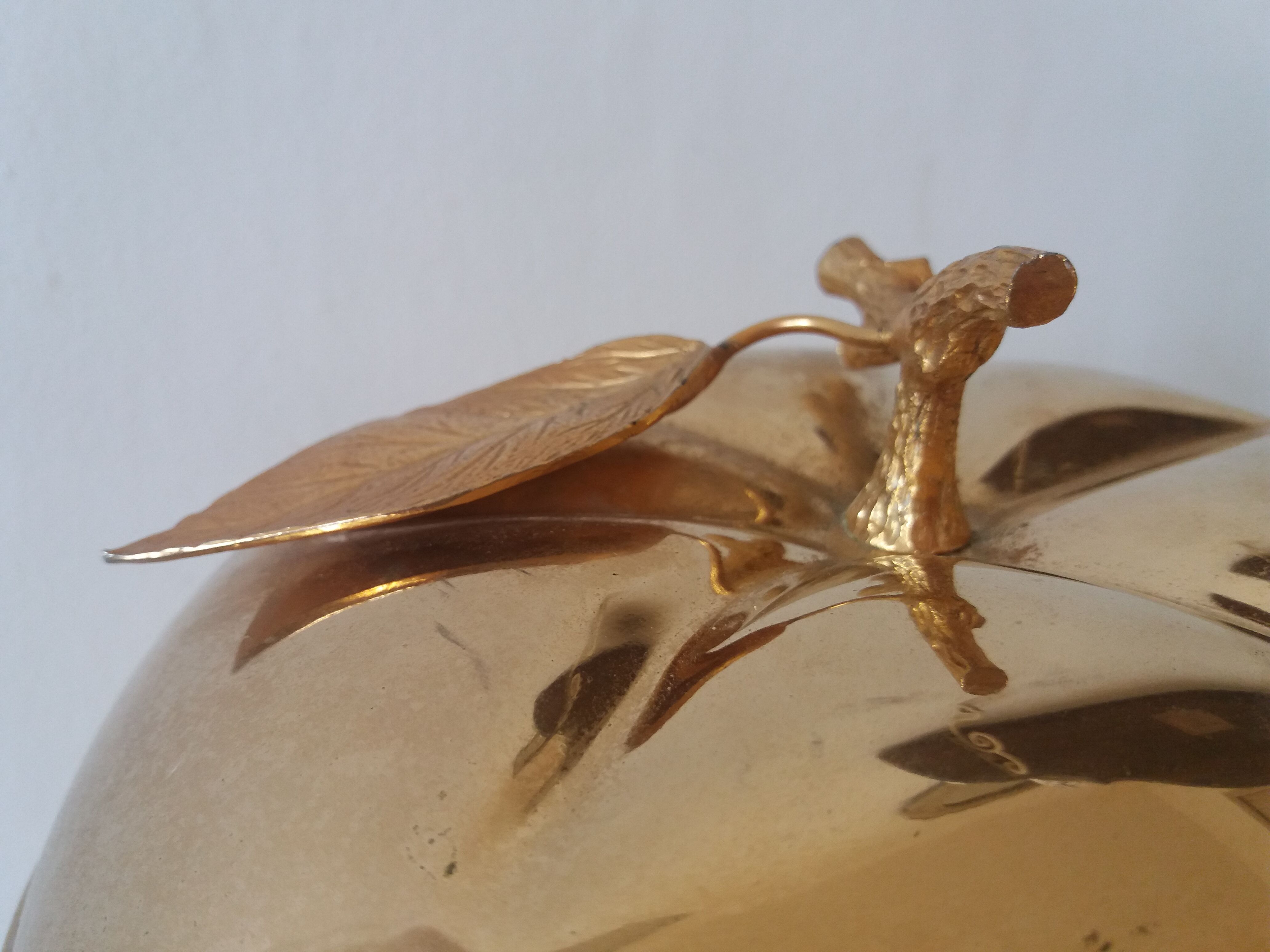 Apple Golden ice Turnwald international Collection