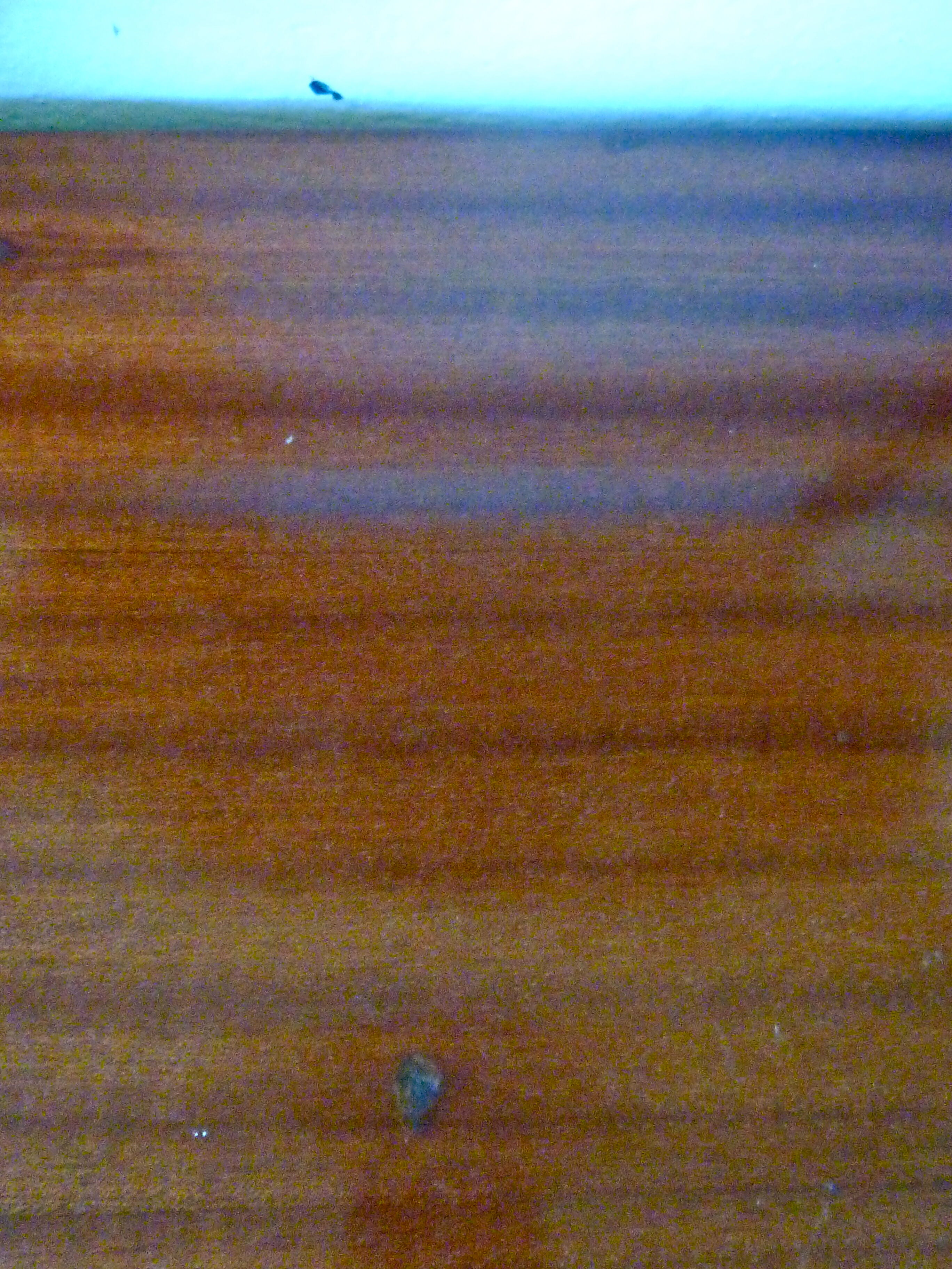 Marcel Gascoin 60s Dresser