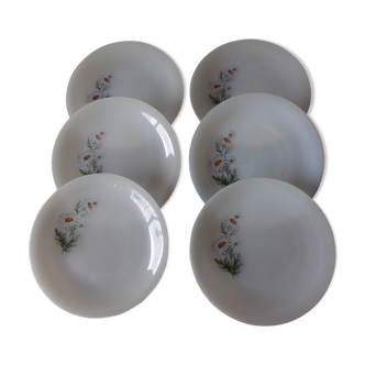 Set of 6 dessert plates Arcopal pattern "daisies"