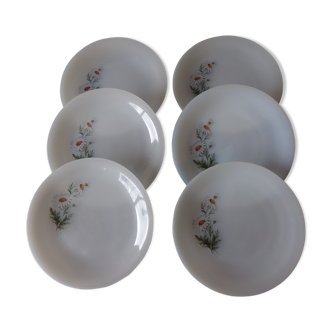 Lot de 6 assiettes à dessert Arcopal motif "marguerites"