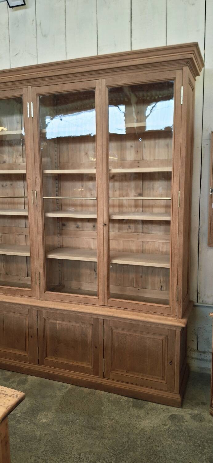 Grande vitrine ancienne de musée