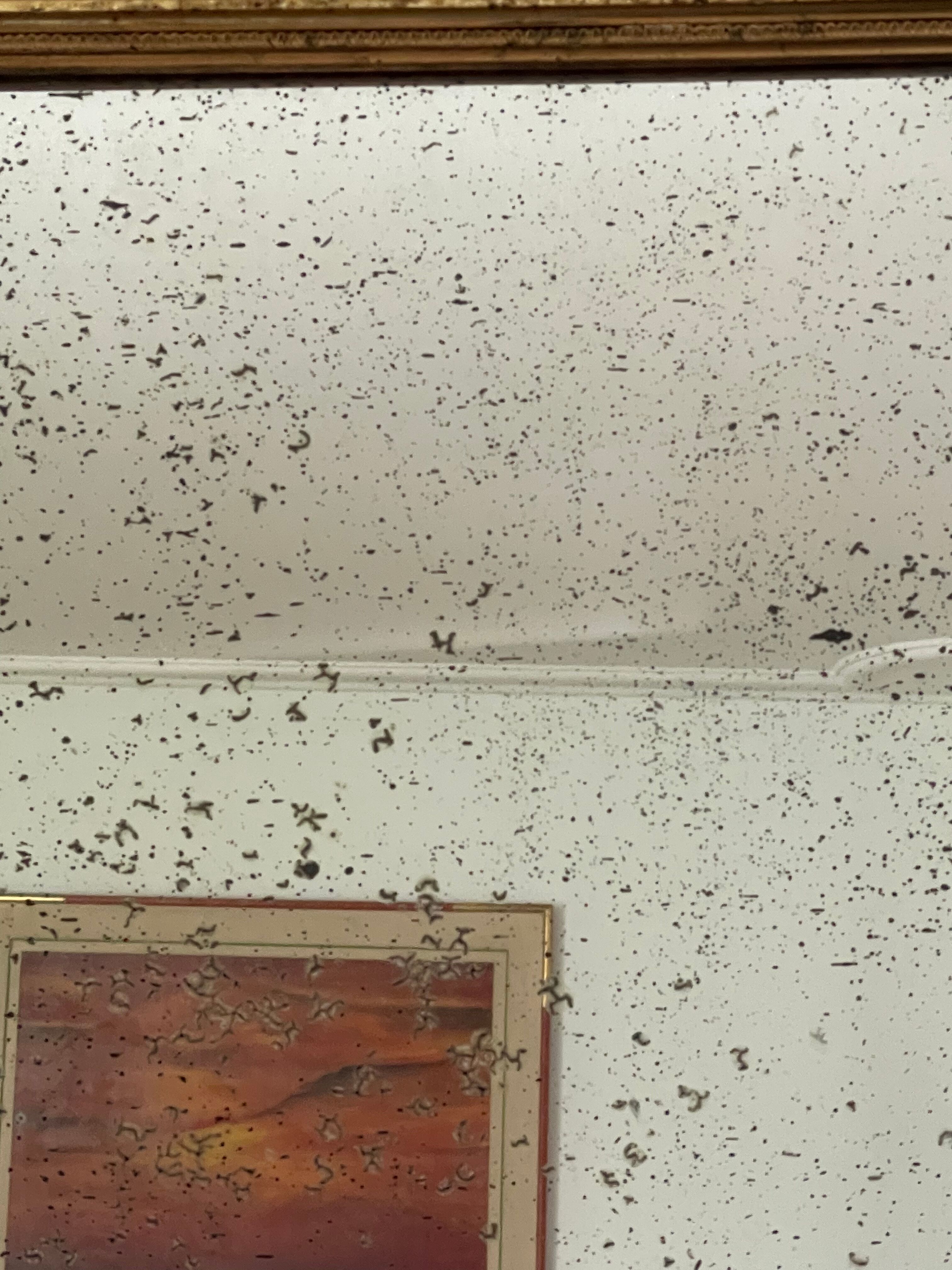 Antique mirror in gilded wood