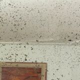 Antique mirror in gilded wood