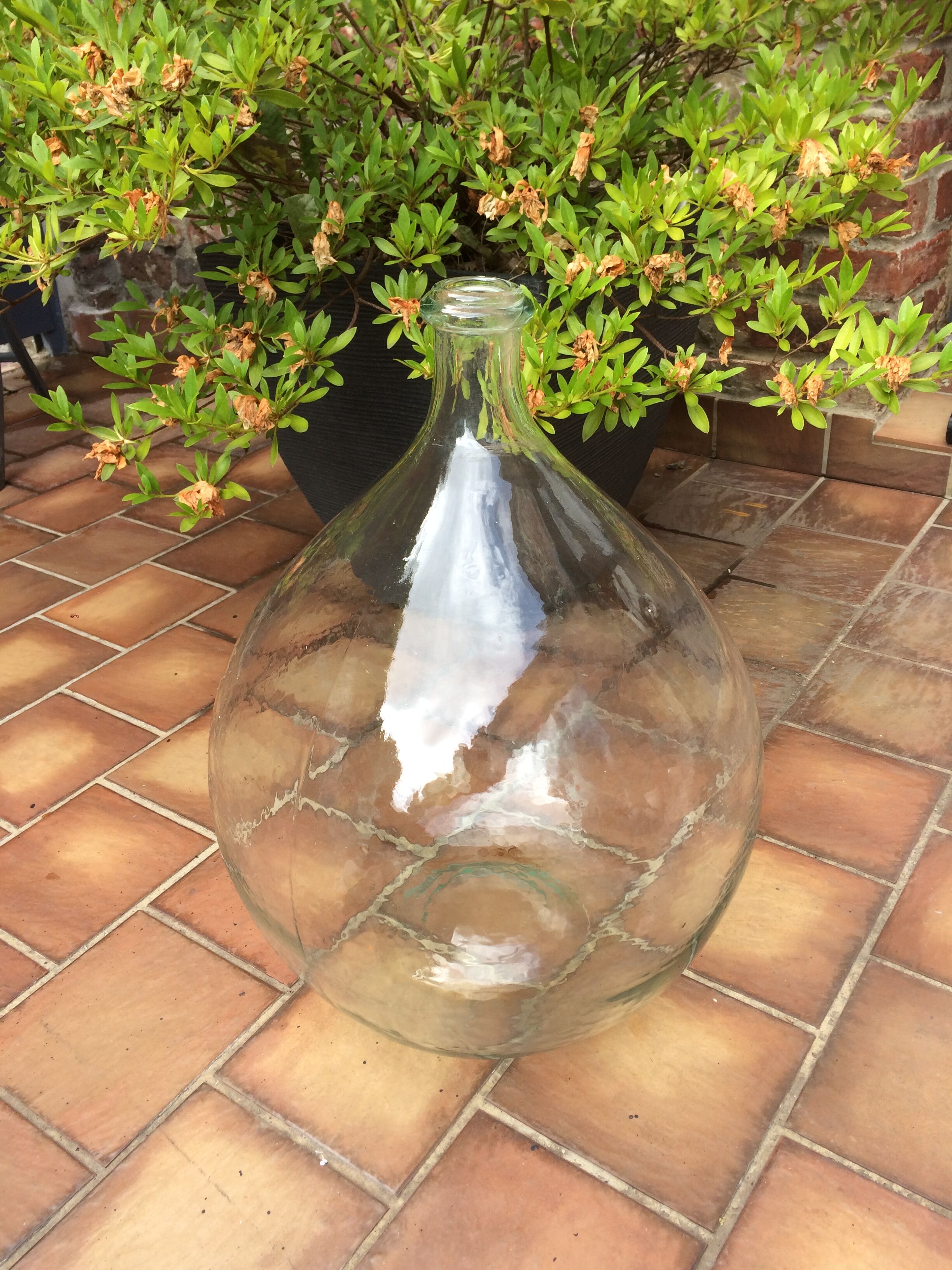 demijohn