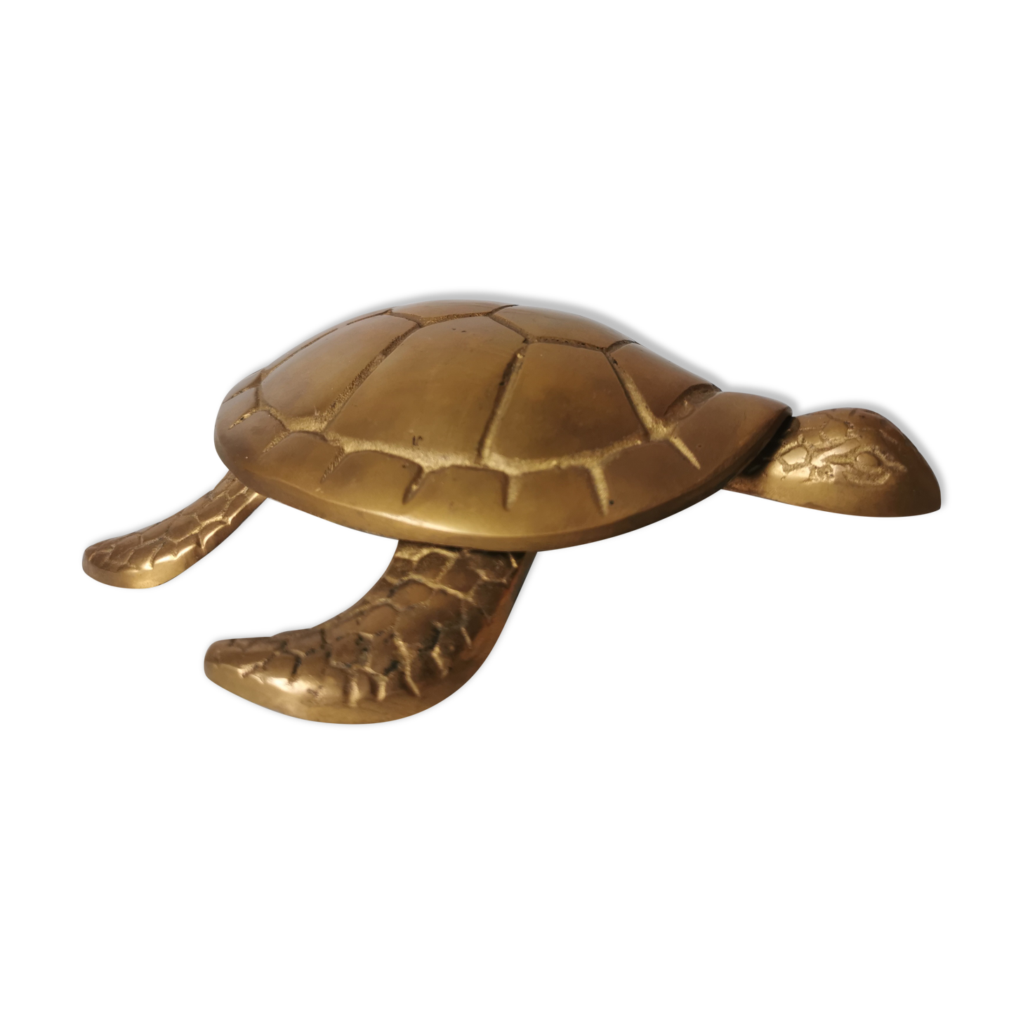 Brass turtle jewelry box