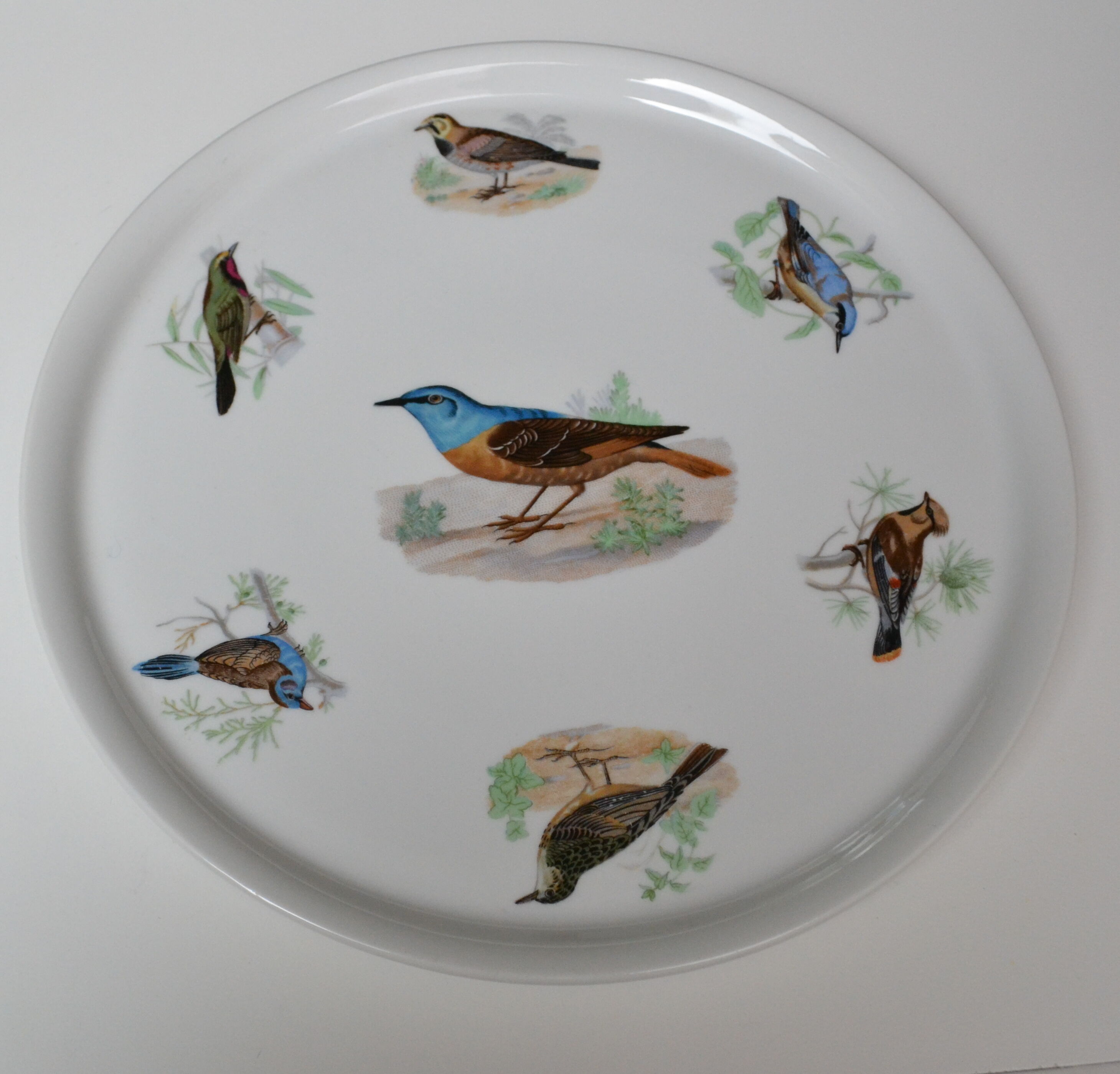 Pie dish Porcelaine du Berry L. Lourioux motif birds aviary