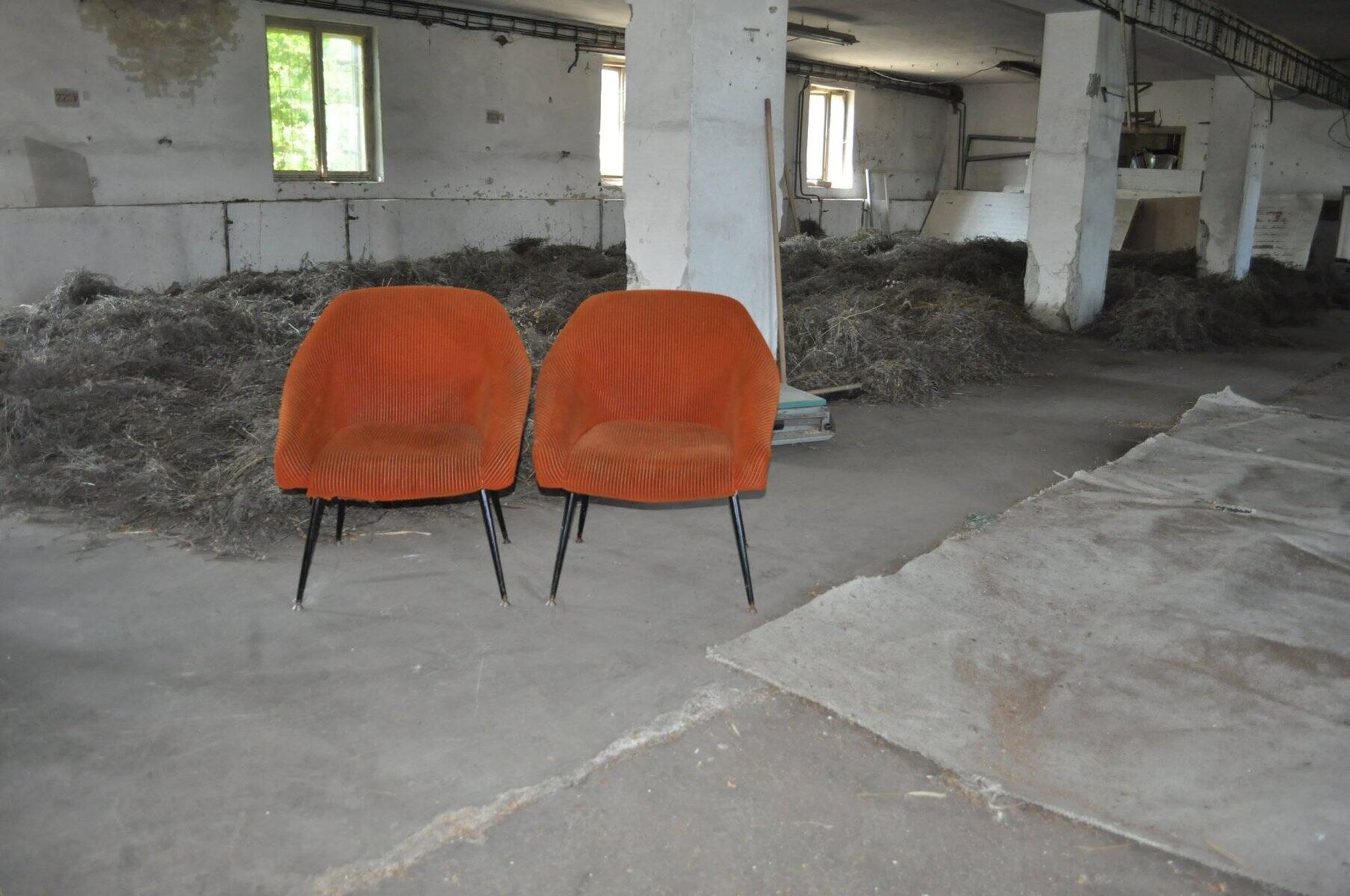 Pair of Mid-Century armchairs in black metal and orange fabric, VEB Sitzmöbelwerke, 1960s.