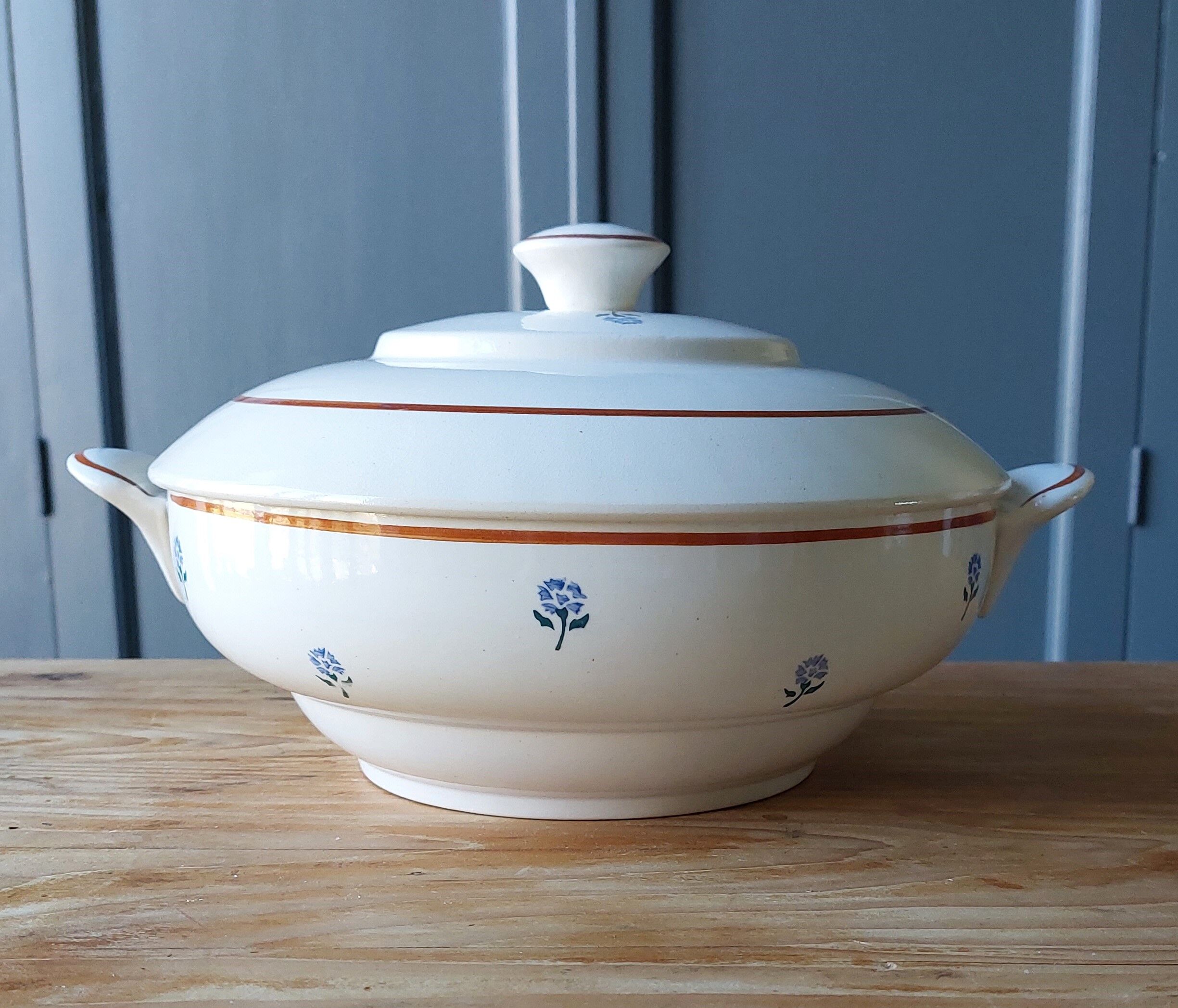 Salins tureen