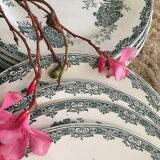 Flat plates "Daisy" Saint Amand