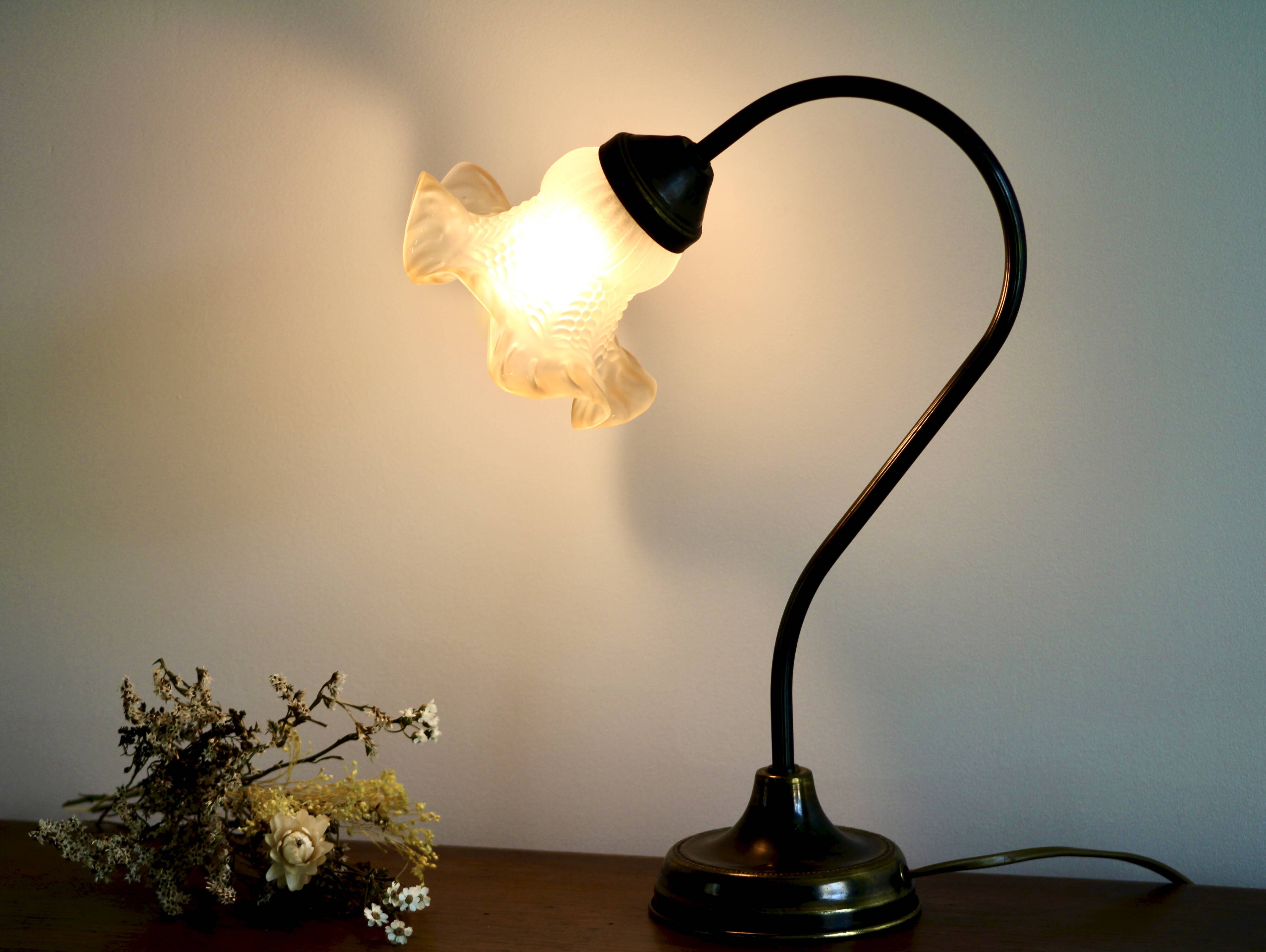Delmas gooseneck lamp in brass with tulip globe