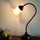 Delmas gooseneck lamp in brass with tulip globe