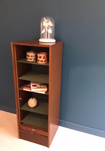 Vintage curtain cabinet