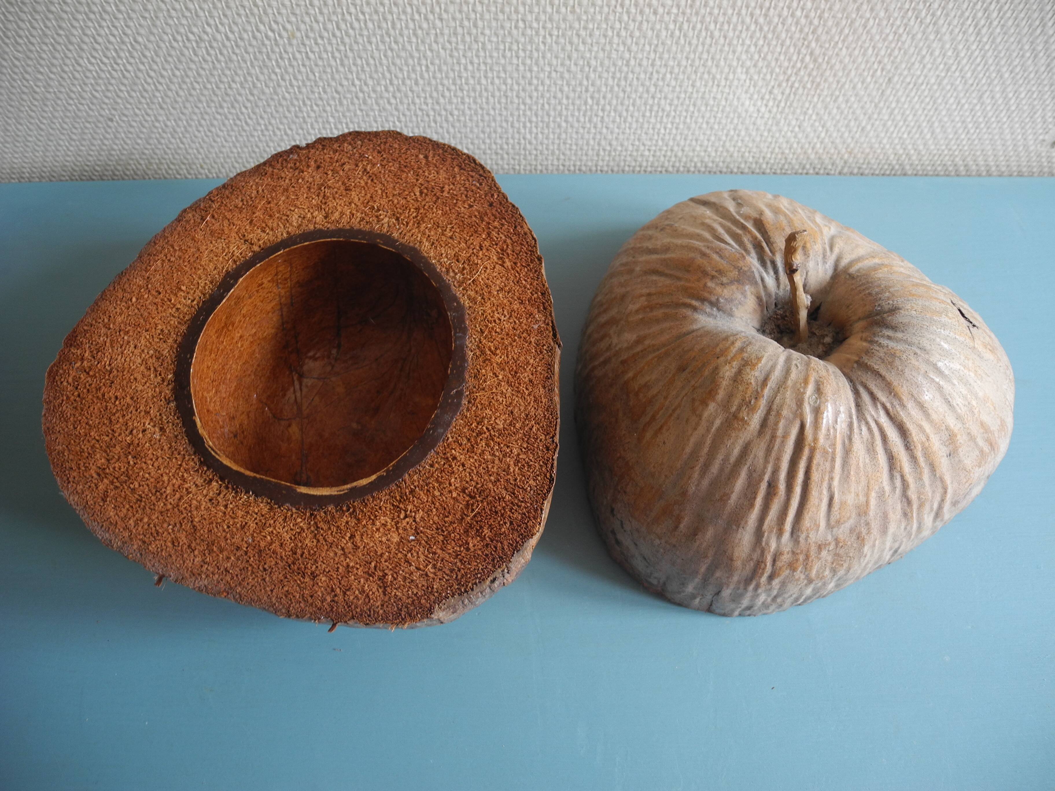 vintage ice bucket coconut Nocodaf Abidjan 70s