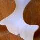 Ant chairs by Arne Jacobsen for Fritz Hansen, 1960s, set of 4