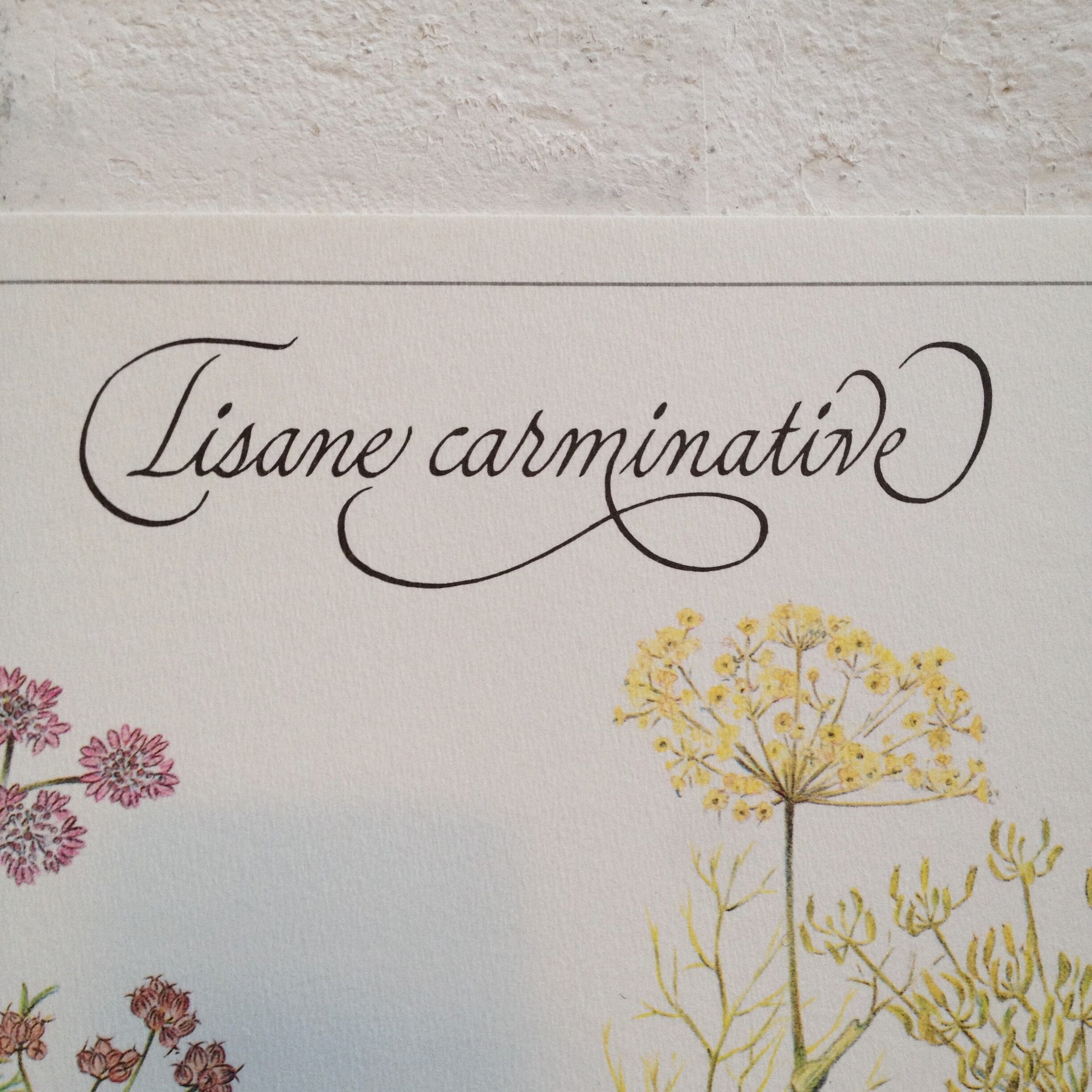 Botanical poster is a tisane