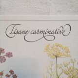 Affiche botanique tisane