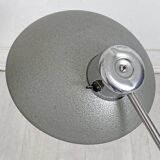 Lampe indus L. F. Solere