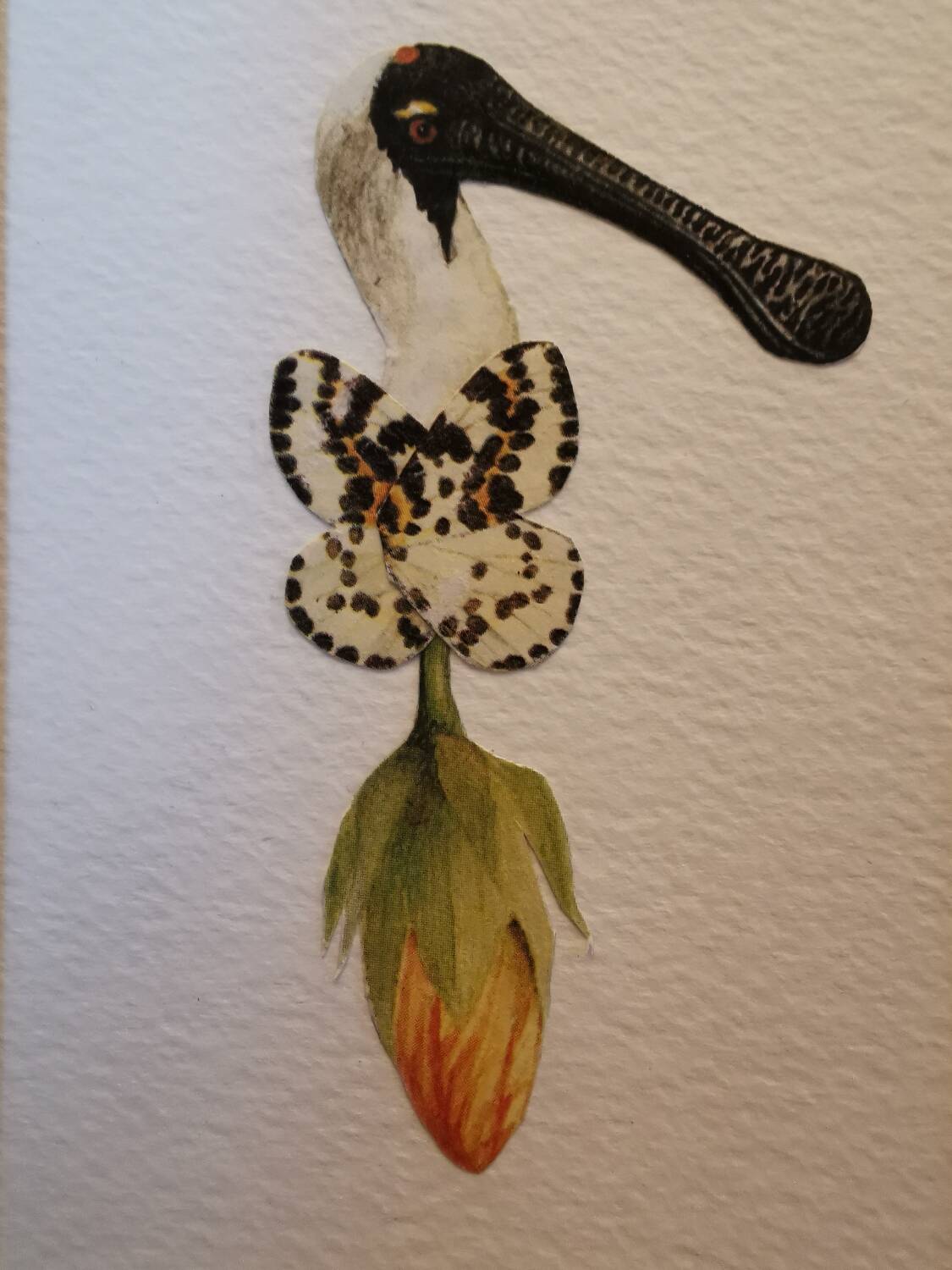 Lulinaile Collage #4