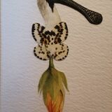 Lulinaile Collage #4