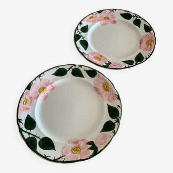 Lot de 2 assiettes Villeroy & Boch