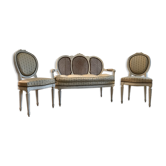 Salon Louis XVI eb molded wood and carved canning files
