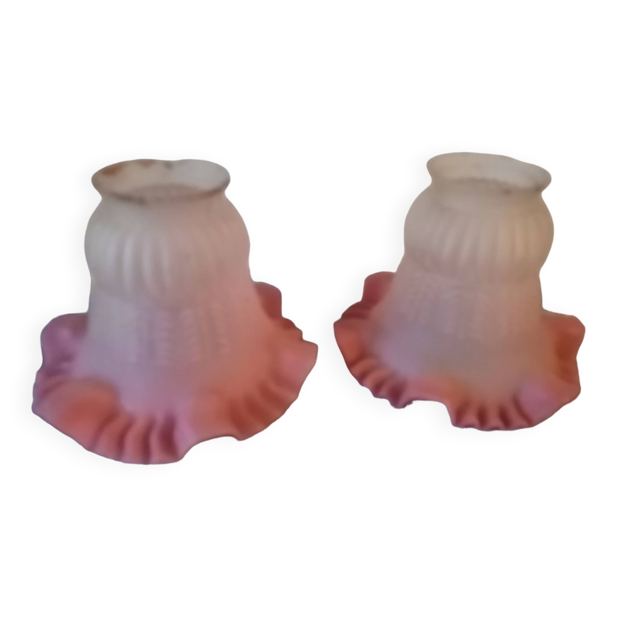 Duo of chandelier tulips or lamp in two-tone opaline