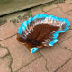Plat vallauris
