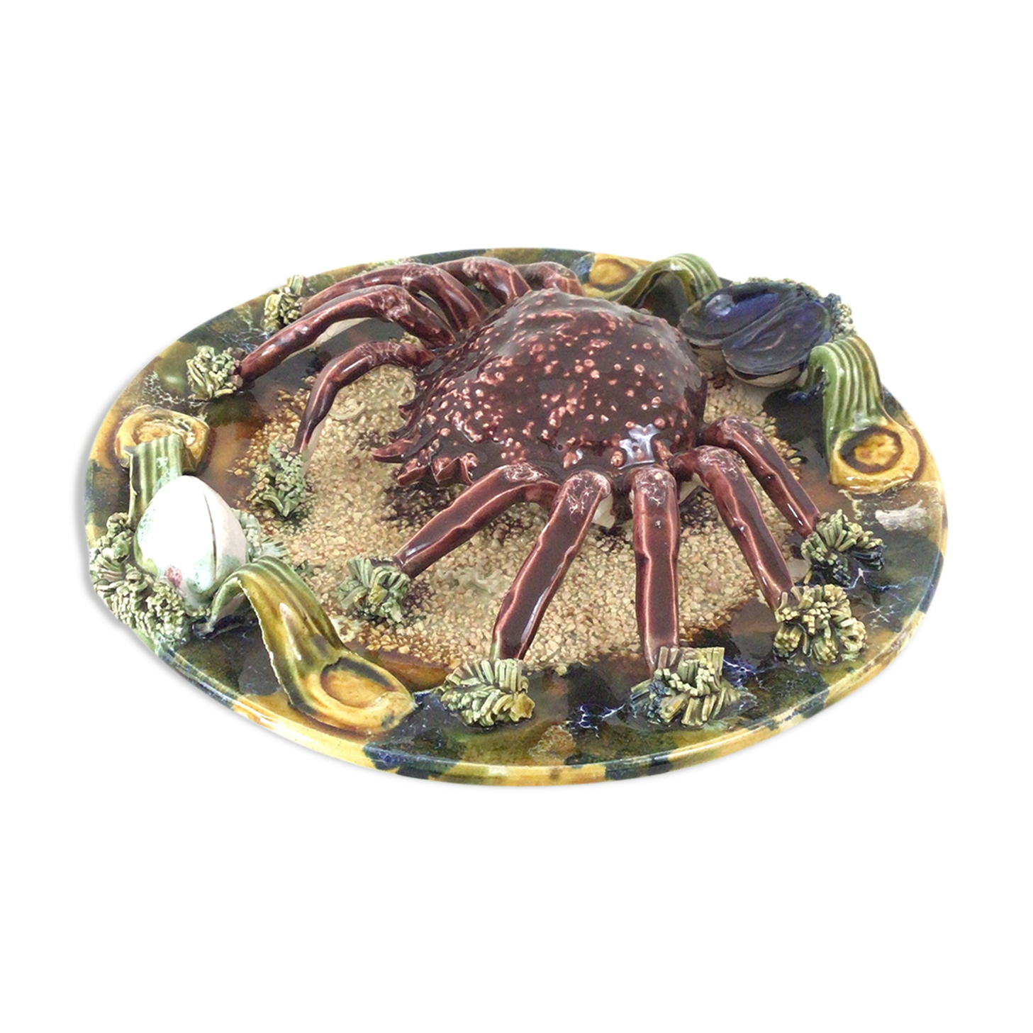 Naturalistic plate Spider earthenware of Caldas