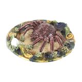 Naturalistic plate Spider earthenware of Caldas
