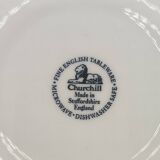 Churchill Staffordshire table service 14 pieces Verdigris model