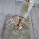 Italian onyx and brass floor lamp