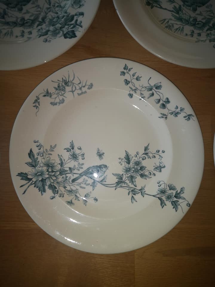 Lot 10 round plates old earthenware longwy Cute birds iron earth ø 23 cm