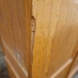 Parisian style school cupboard 1970