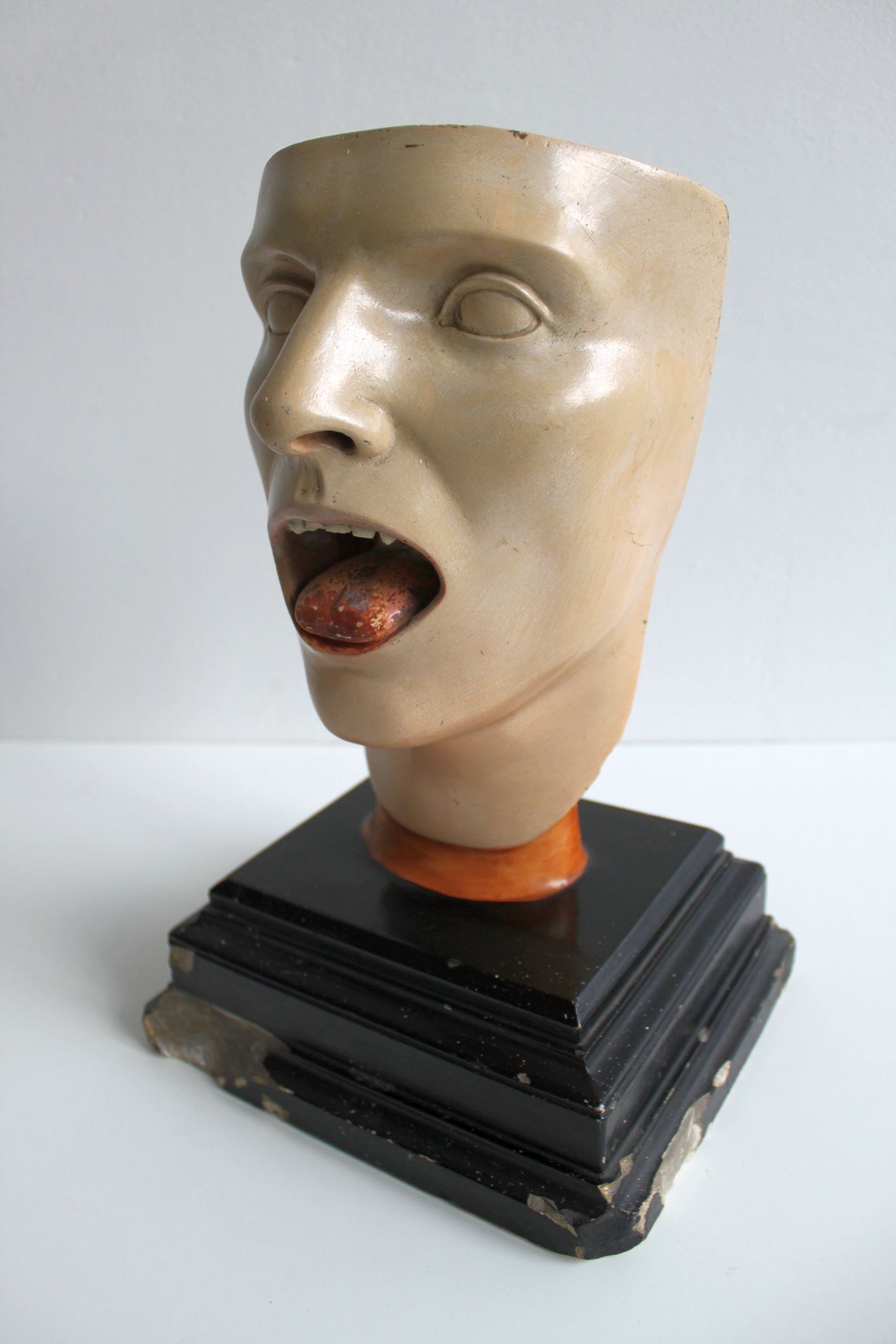 Anatomical model of human face, 30