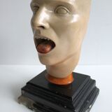 Anatomical model of human face, 30